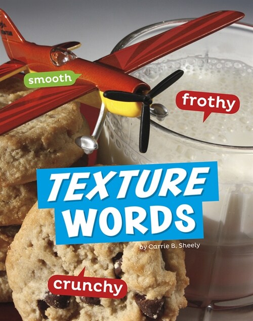 Texture Words (Paperback)