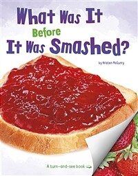 What Was It Before It Was Smashed? (Paperback)