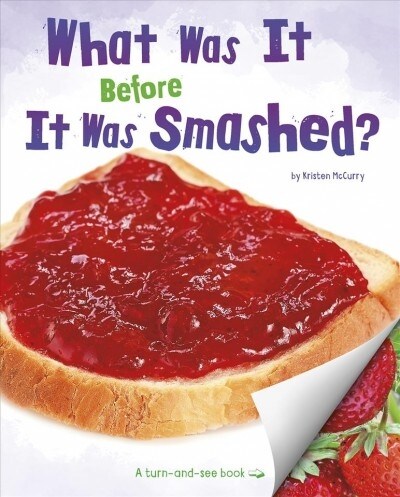 What Was It Before It Was Smashed? (Hardcover)