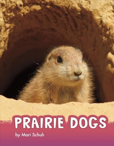 Prairie Dogs (Hardcover)