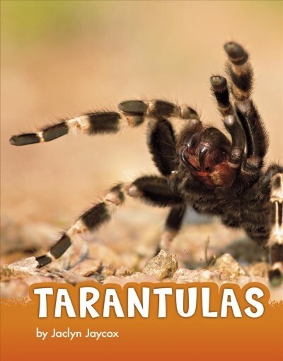 Tarantulas (Hardcover)