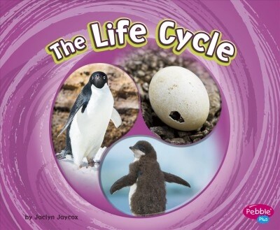 The Life Cycle (Hardcover)