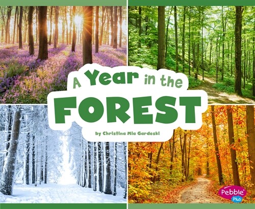 A Year in the Forest (Paperback)
