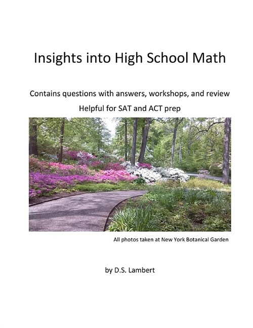 Insights into High School Math: Contains questions with answers, workshops, and review (Paperback)