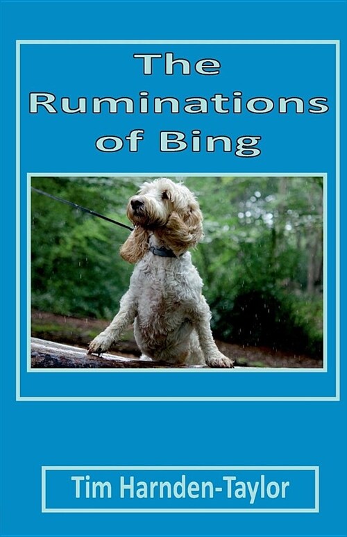 The Ruminations of Bing : Lines From My Forehead (Paperback)