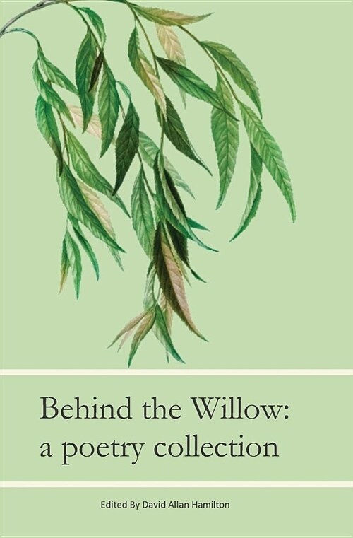 Beyond The Willow: A Poetry Collection (Paperback)