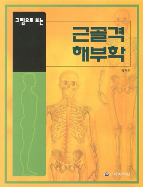 근골격 해부학