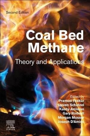 Coal Bed Methane: Theory and Applications (Paperback, 2)