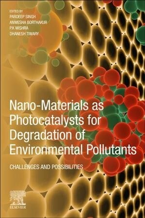 Nano-Materials as Photocatalysts for Degradation of Environmental Pollutants: Challenges and Possibilities (Paperback)