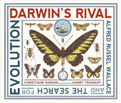 Darwins Rival: Alfred Russel Wallace and the Search for Evolution (Hardcover)