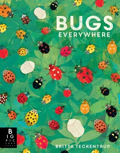 Bugs Everywhere (Hardcover)