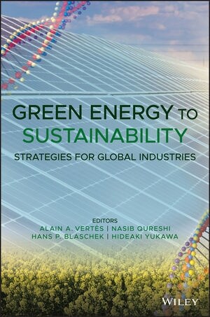 Green Energy to Sustainability: Strategies for Global Industries (Hardcover)