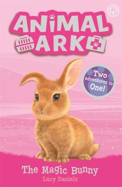 Animal Ark, New 4: The Magic Bunny : Special 4 (Paperback)