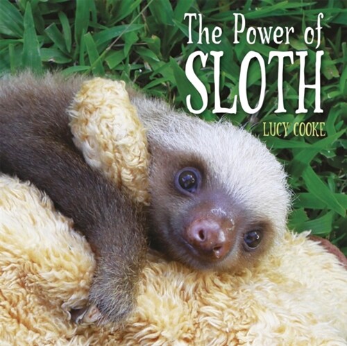 The Power of Sloth (Paperback)