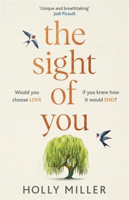 The Sight of You : An unforgettable love story and Richard & Judy Book Club pick (Hardcover)