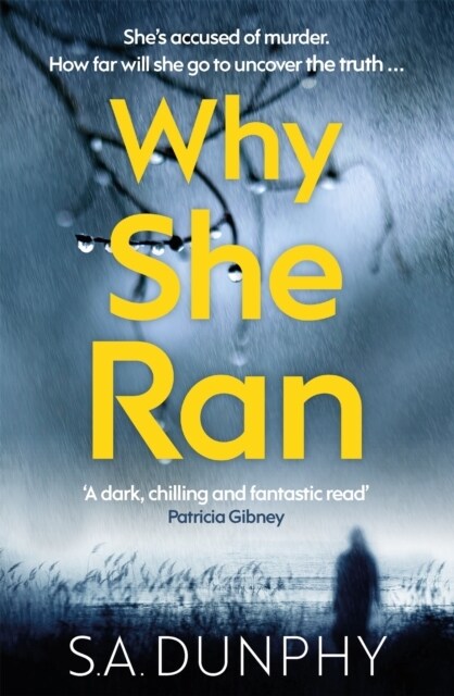 Why She Ran (Paperback)