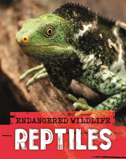 Endangered Wildlife: Rescuing Reptiles (Hardcover)