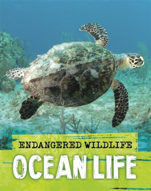 Endangered Wildlife: Rescuing Ocean Life (Hardcover)