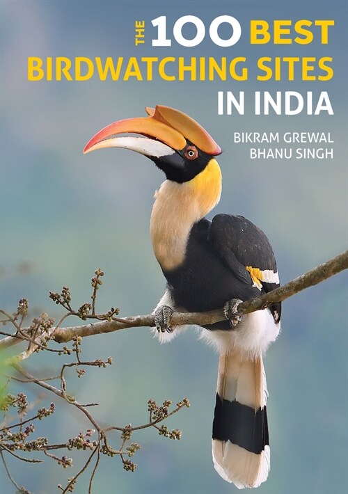 The 100 Best Birdwatching Sites in India (Paperback)