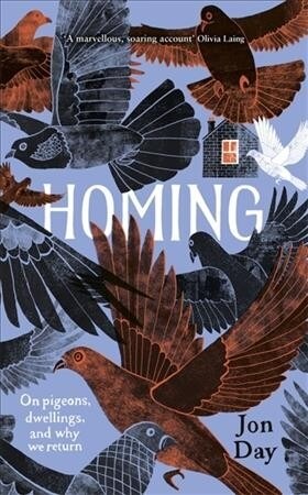 Homing : On Pigeons, Dwellings and Why We Return (Paperback)