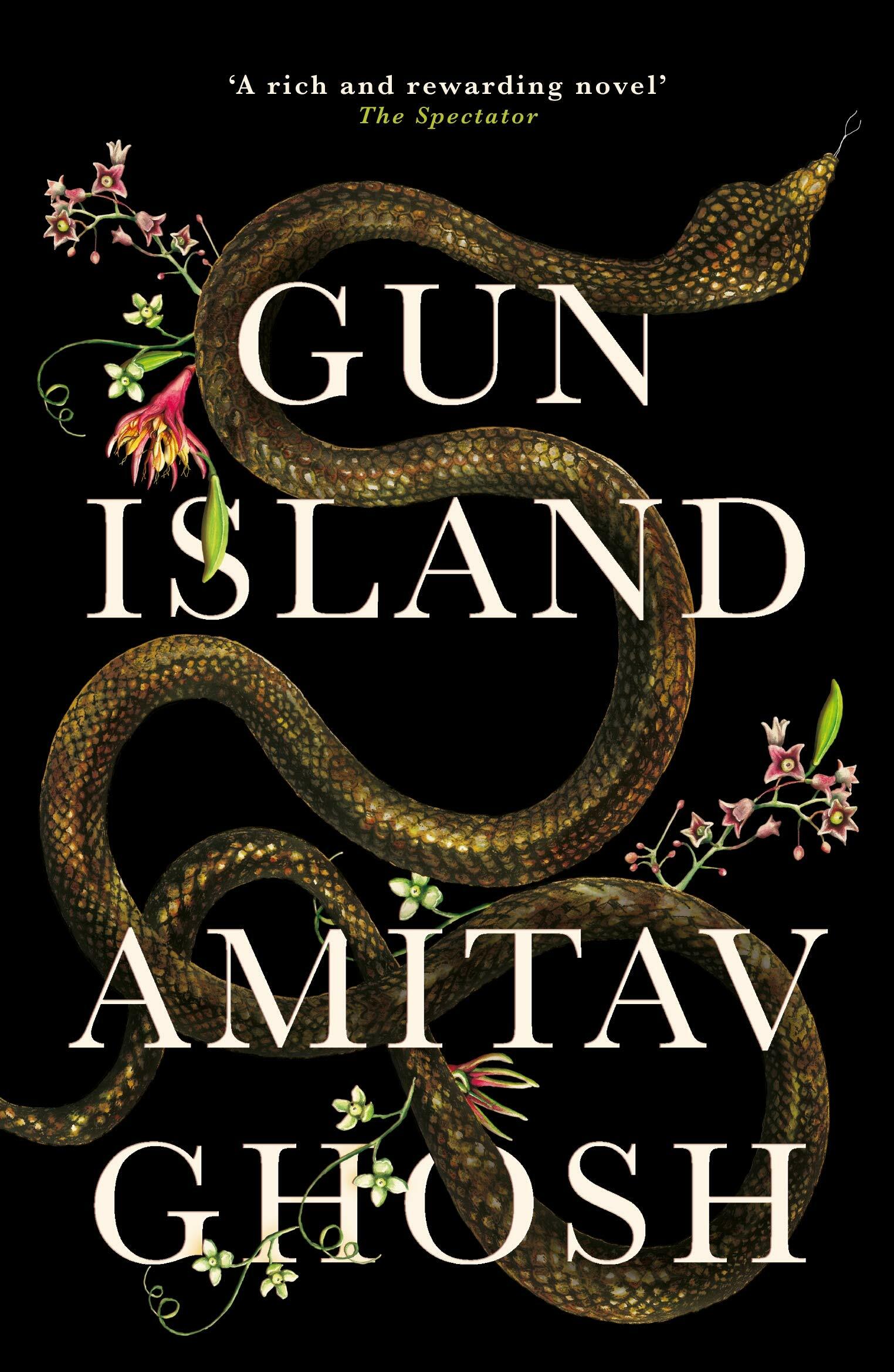 Gun Island : A spellbinding, globe-trotting novel by the bestselling author of the Ibis trilogy (Paperback)