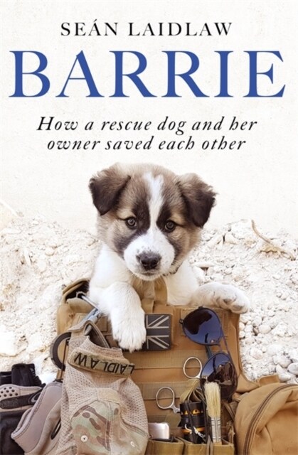 Barrie : How a rescue dog and her owner saved each other (Paperback)