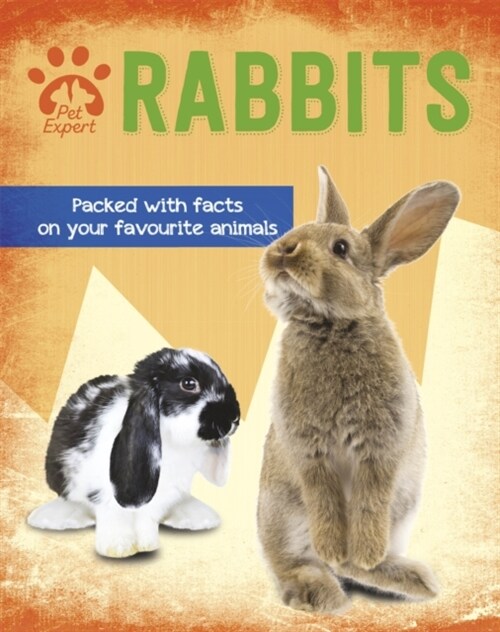 Pet Expert: Rabbits (Paperback)