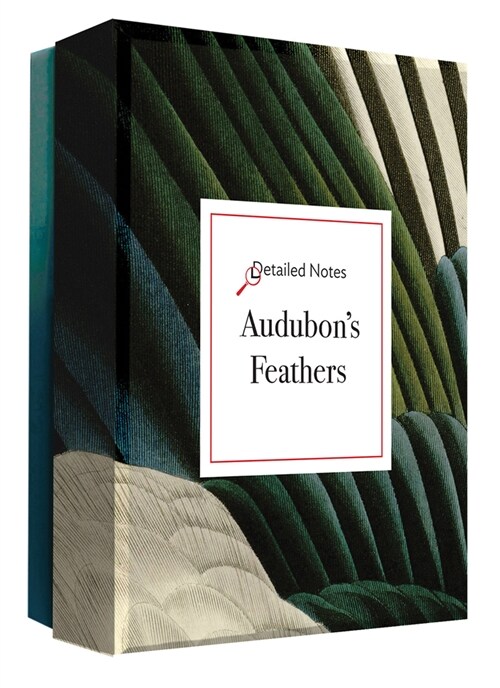 Audubons Feathers: A Detailed Notes Notecard Box (Other)