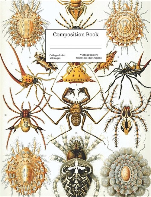 Composition Book College-Ruled Vintage Spiders Scientific Illustrations: Anthropod Science Drawings Cover (Paperback)