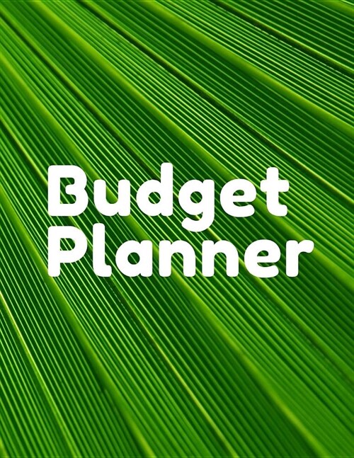Budget Planner: Money Budget Organizer Planner Daily Monthly & Yearly Budgeting Calendar for Expences Debt and Bills Tracker Undated (Paperback)
