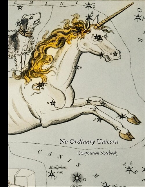 No Ordinary Unicorn: Large blank college ruled composition notebook (Paperback)