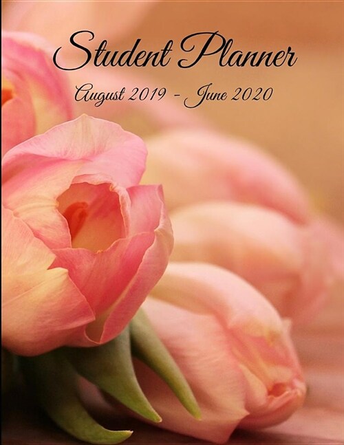 Student Planner August 2019 - June 2020: Floral Pink Academic Agenda Daily Weekly Planner with Assignment Test and Exam Checklist and Reminder To-Do L (Paperback)