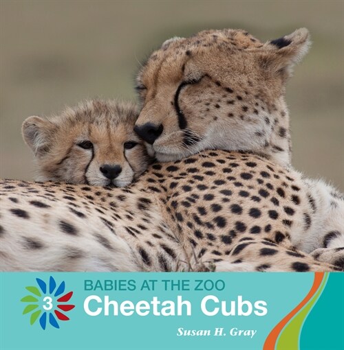 Cheetah Cubs (Paperback)