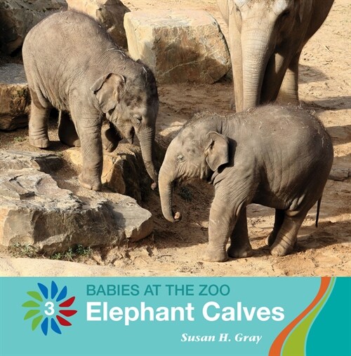 Elephant Calves (Paperback)