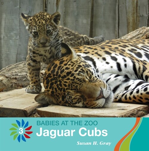 Jaguar Cubs (Paperback)