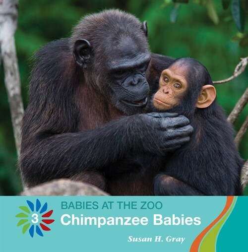 Chimpanzee Babies (Library Binding)
