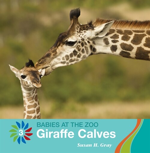 Giraffe Calves (Library Binding)