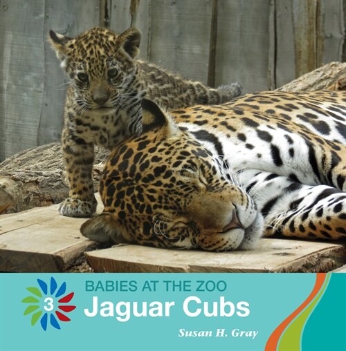 Jaguar Cubs (Library Binding)