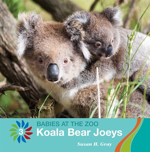 Koala Bear Joeys (Library Binding)