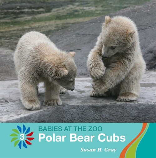 Polar Bear Cubs (Library Binding)