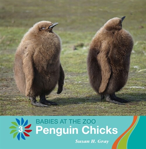 Penguin Chicks (Library Binding)