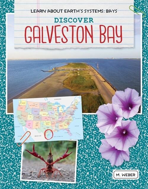 Discover Galveston Bay (Library Binding)