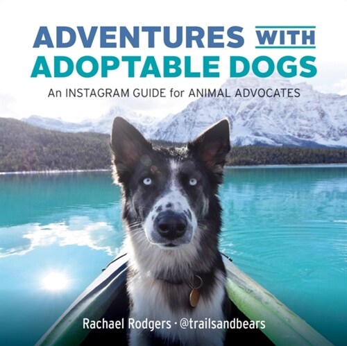 Adventures with Adoptable Dogs: An Instagram Guide for Animal Advocates (Paperback)