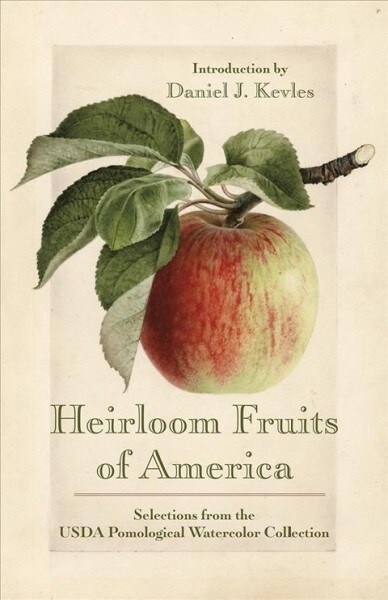 Heirloom Fruits of America: Selections from the USDA Watercolor Pomological Collection (Hardcover)