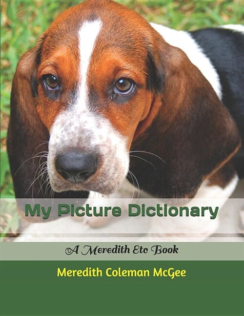 My Picture Dictionary (Paperback)