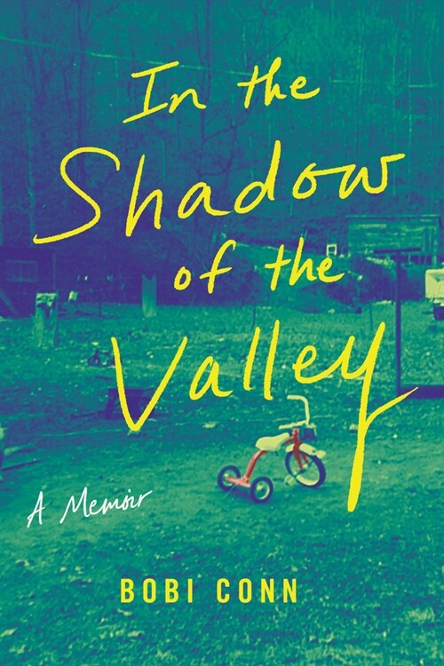 In the Shadow of the Valley: A Memoir (Hardcover)