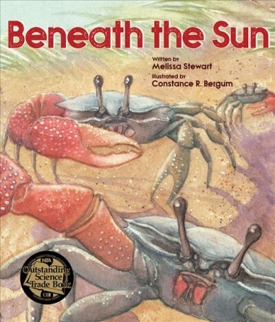 Beneath the Sun (Paperback)