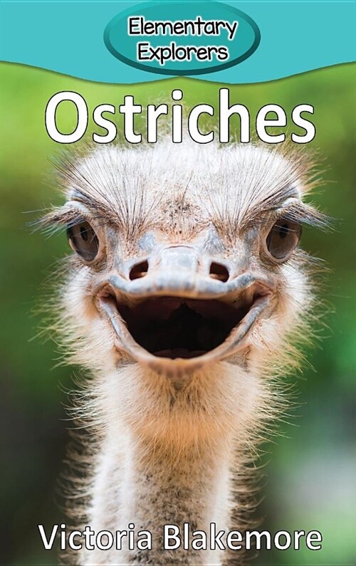 Ostriches (Hardcover)
