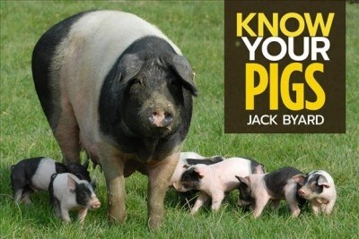 Know Your Pigs (Paperback)