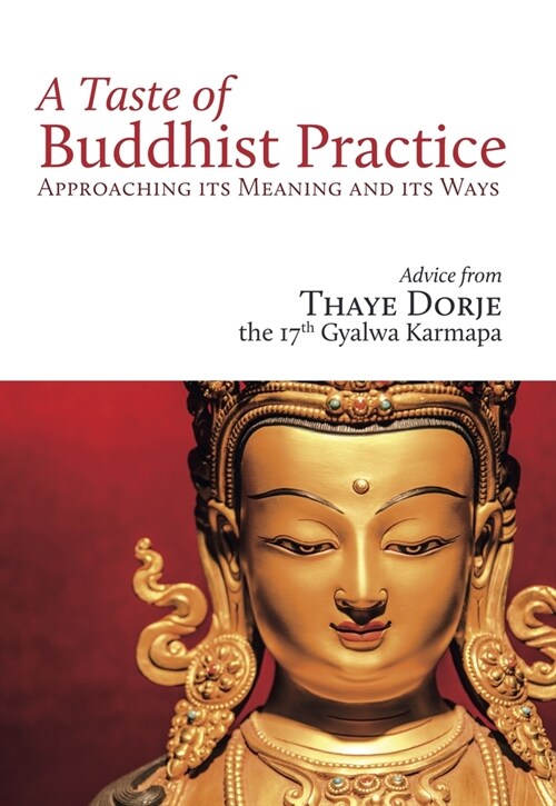 A Taste of Buddhist Practice: Approaching Its Meaning and Its Ways (Paperback)